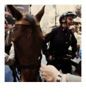 JpPeretti PolaNYC-27 resize