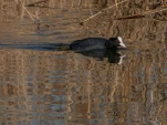DSCN0873