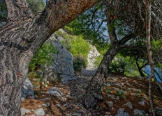 19 Avril 2022