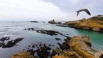 BIARRITZ1