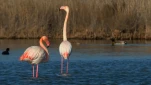 Screen Shot 03-07-22 at 02 42 PM 001 resize