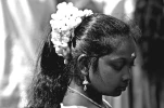 DSC0213nb