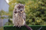 DSC0055