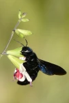 P1020237
