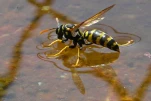 P1020301
