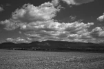 DSC3077NB