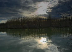 Paysages