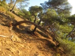 IMG 7306