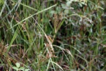 IMG 0078