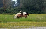 IMG 9979