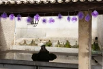 valensole 6