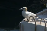 1026